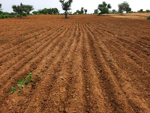 Agricultural Land